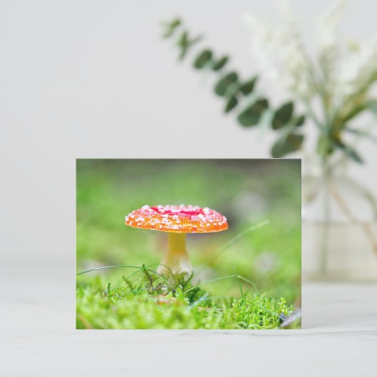 Fliegenpilz Briefkaart (Staand voorkant)