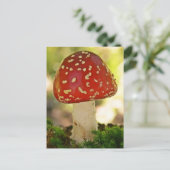 Fliegenpilz Briefkaart (Staand voorkant)