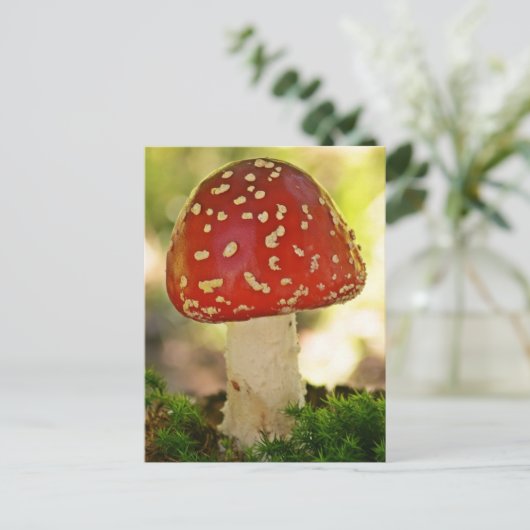 Fliegenpilz Briefkaart (Staand voorkant)
