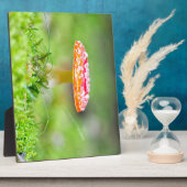 Fliegenpilz Fotoplaat (Zijkant)