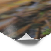 Fliegenpilz im Wald  Kunstvolles Poster (Hoek)