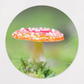 Fliegenpilz Labels (Design 2)