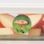 Fliegenpilz Labels (Aangebracht)