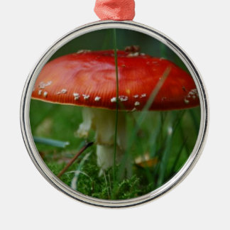 Fliegenpilz Metalen Ornament