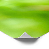 Fliegenpilz Poster (Hoek)