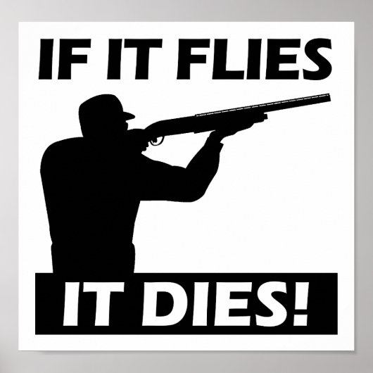 Flies Dies Funny Poster (Voorkant)