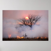 Flint Hills Kansas Prairie Burn Poster (Voorkant)