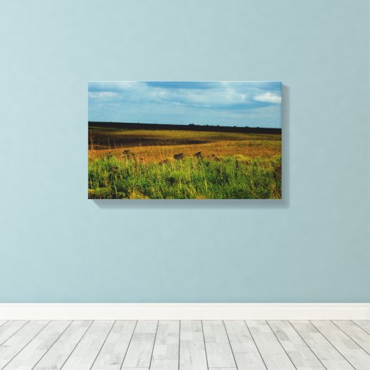 Flint Hills of Kansas canvas print (Insitu (Houten vloer))