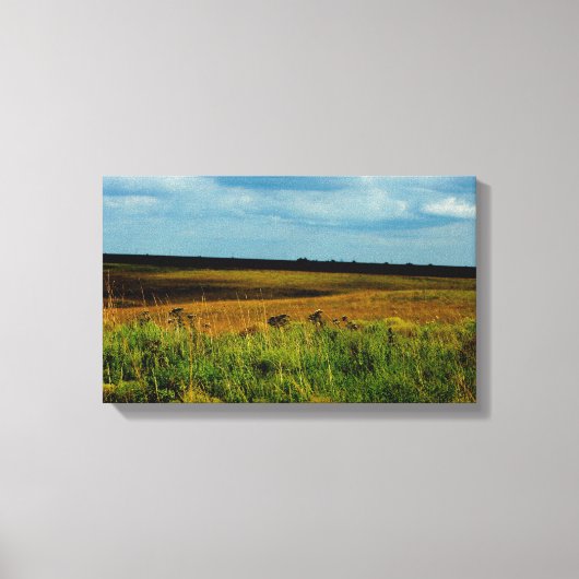 Flint Hills of Kansas canvas print (Voorkant)