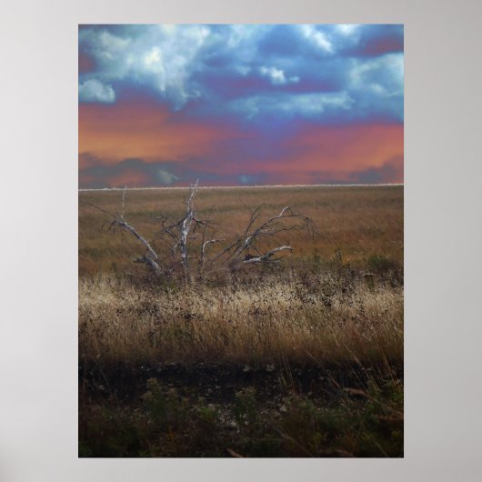 Flint Hills of Kansas poster (Voorkant)