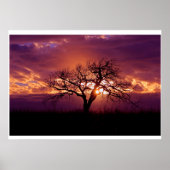 Flint Hills Sunset Poster (Voorkant)