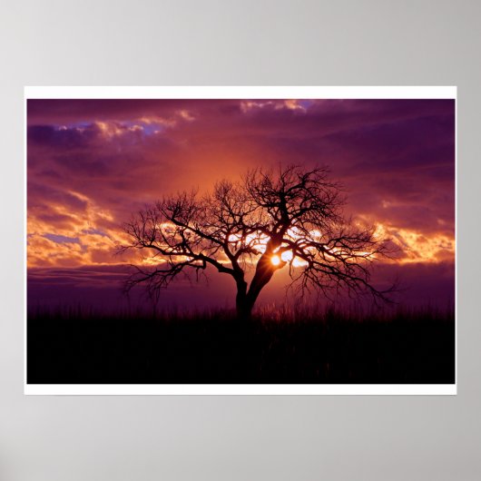 Flint Hills Sunset Poster (Voorkant)