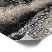 Flint Hills Winter Scène Poster (Hoek)