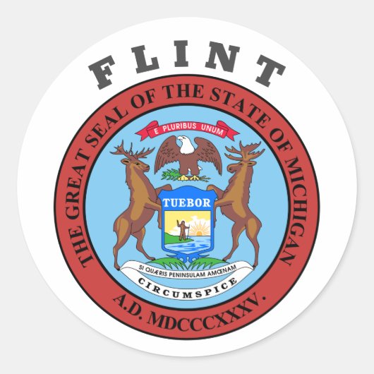 Flint, Michigan Ronde Sticker (Voorkant)