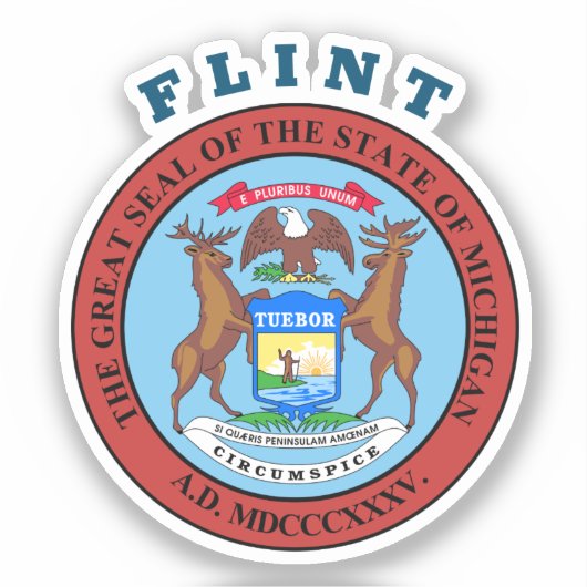 Flint - MICHIGAN Sticker (Voorkant)