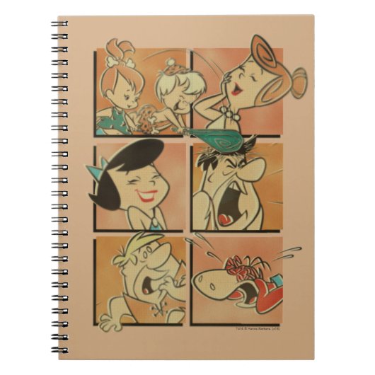 Flintstenen | Flatstenen en roebels Comite Notitieboek (Voorkant)