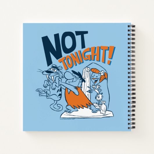 Flintstenen | Niet vanavond. Notitieboek (Achterkant)