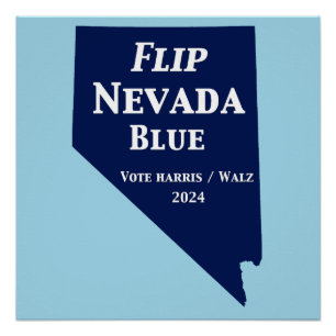 Flip Nevada Blue voor 2024 Perfect Poster