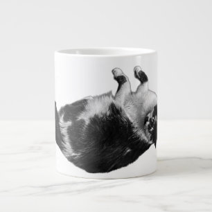 Flipped Feline Morning Mok