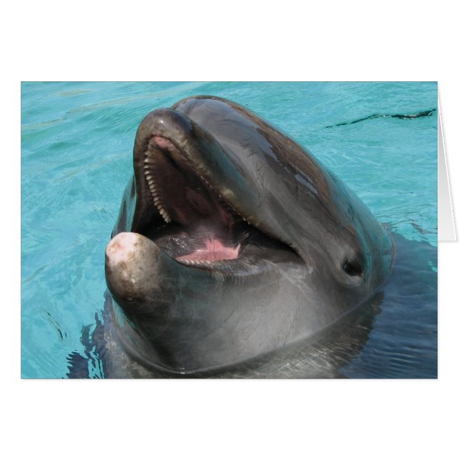 Flipperkaart (Voorkant Horizontaal)