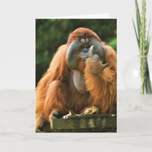 Flipping Monkey-Orangutan - Verjaardag Kaart (Voorkant)