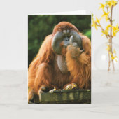Flipping Monkey-Orangutan - Verjaardag Kaart (Gele Bloem)