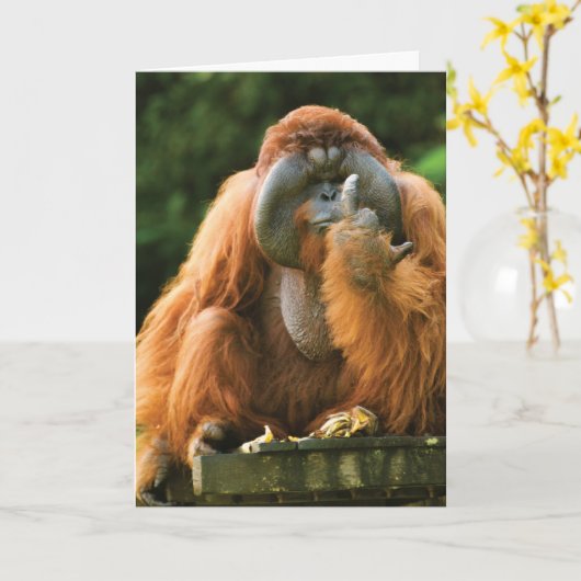 Flipping Monkey-Orangutan - Verjaardag Kaart (Gele Bloem)