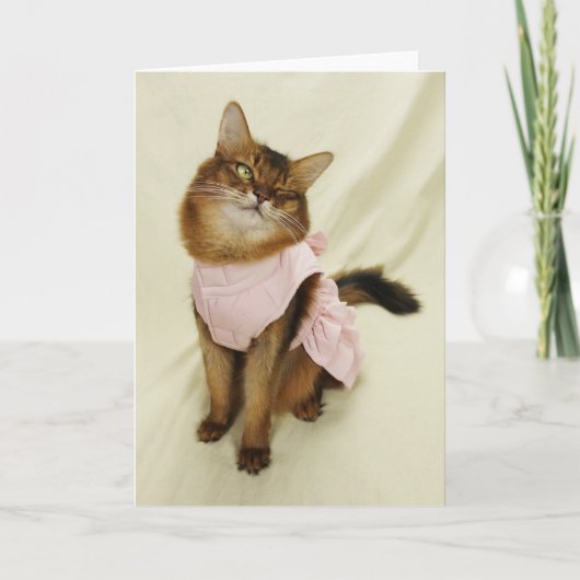 Flirterige Kat Somalische Kat Kaart (Voorkant)