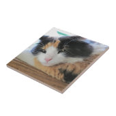 Flirterige Schotse Kat Tegeltje (Zijkant)