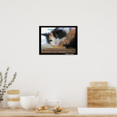 Flirty Calico citeert Meme met Abraham Lincon Poster (Keuken)