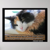 Flirty Calico citeert Meme met Abraham Lincon Poster (Voorkant)