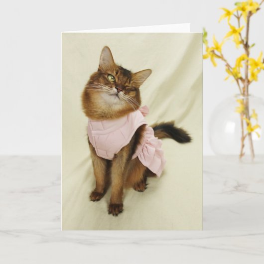Flirty Cat Somalische Kat Kaart (Gele Bloem)