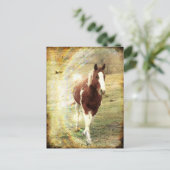 Flitsend Briefkaart (Staand voorkant)