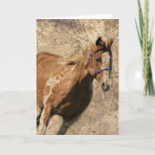 Flitsende Grunge Alle gelegenheden Kaart (Voorkant)