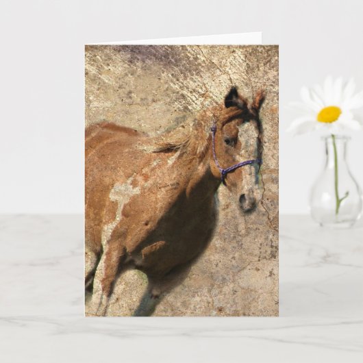 Flitsende Grunge Alle gelegenheden Kaart (Kleine Plant)