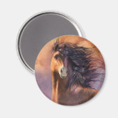 flitsmagneet magneet (Voorkant / Achterkant)