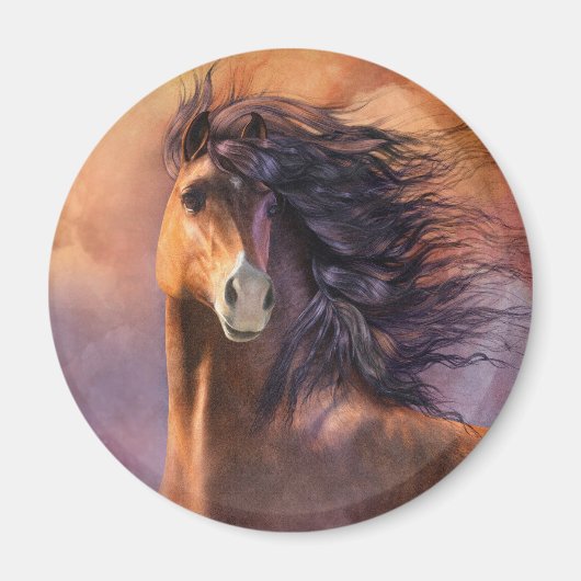 flitsmagneet magneet (Voorkant)