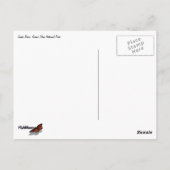 Floating Down the Snake River II Briefkaart (Achterkant)