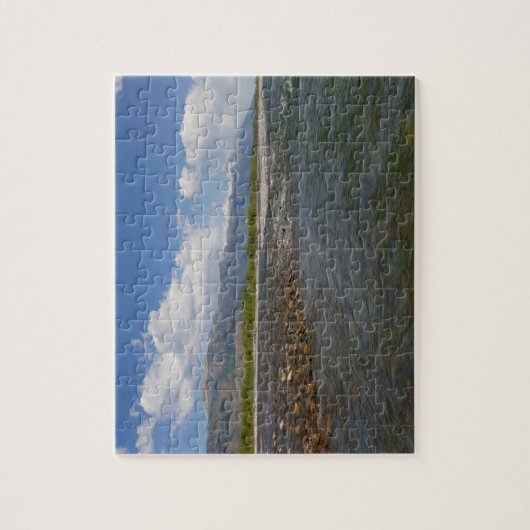 Floating Down the Snake River II Legpuzzel (Verticaal)