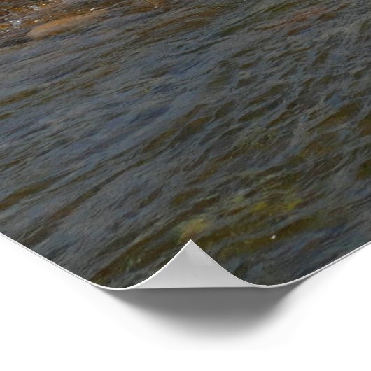 Floating Down the Snake River II Poster (Hoek)