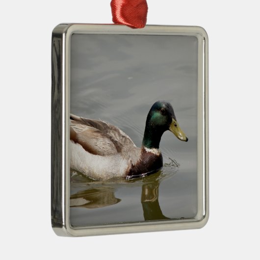 Floating Duck Metalen Ornament (Rechts)