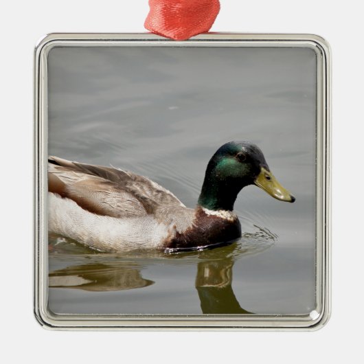 Floating Duck Metalen Ornament (Voorkant)