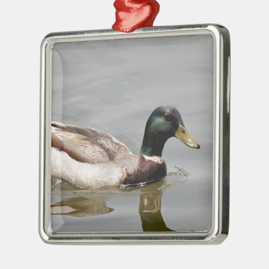 Floating Duck Metalen Ornament (Links)