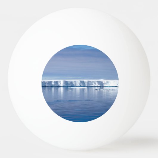 Floating iceberg pingpongbal (Achterkant)