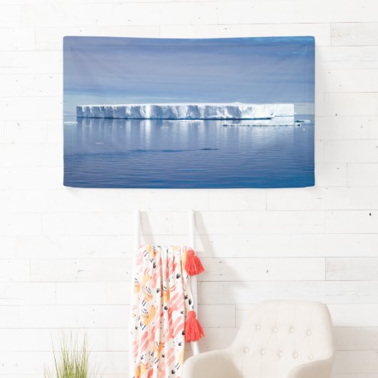 Floating iceberg spandoek (Insitu)