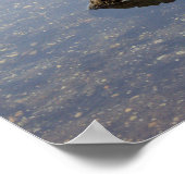 Floating Log Foto Poster (Hoek)
