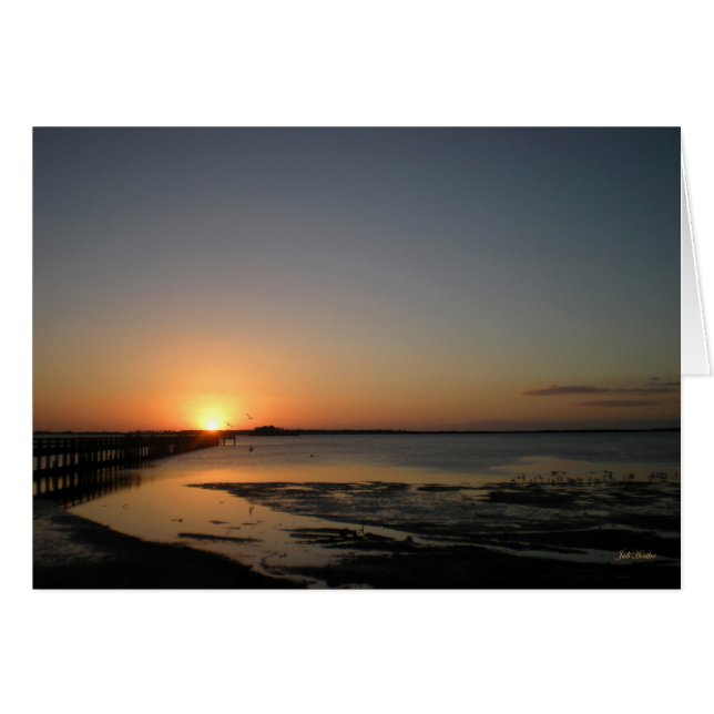 "Floating on Air" Dunedin, Florida (Voorkant Horizontaal)