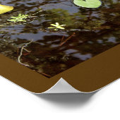 Floating Waterlilies Poster (Hoek)