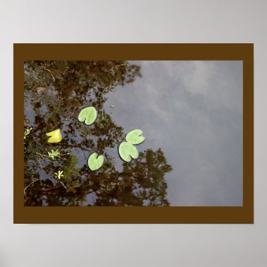 Floating Waterlilies Poster (Voorkant)