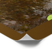 Floating Waterlilies Poster (Hoek)